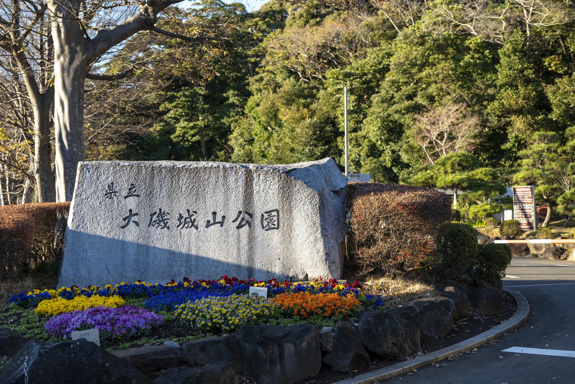 「明治政界の奥座敷」大磯町と時代香る二宮町を訪ねる